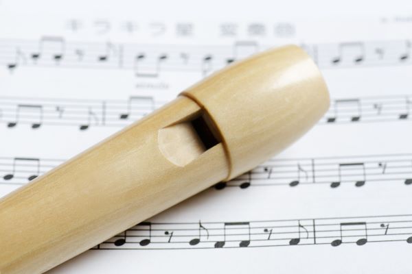 Recorder Lessons | East West Music & Dance